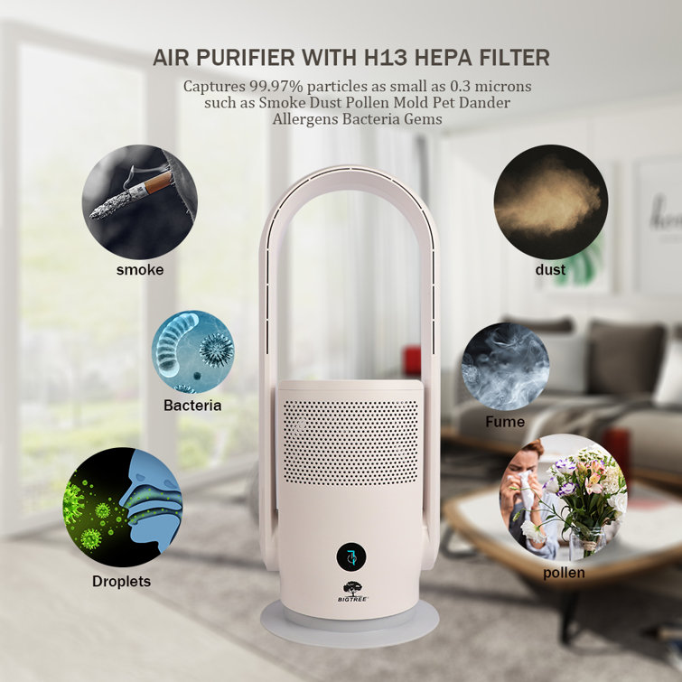 Air purifier store plus fan